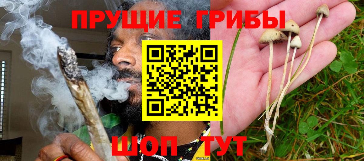 Галлюциногенные грибы ЛСД Луга