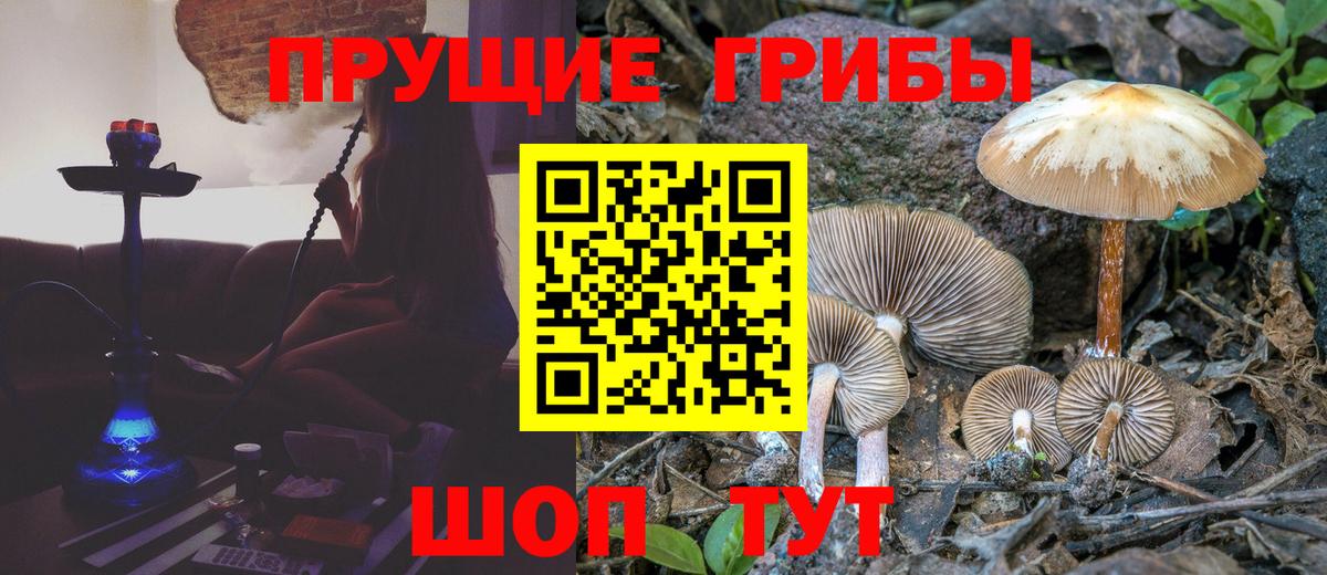 Галлюциногенные грибы GOLDEN TEACHER  Вход с VPN  Галлюциногенные грибы мухоморы  Луга 